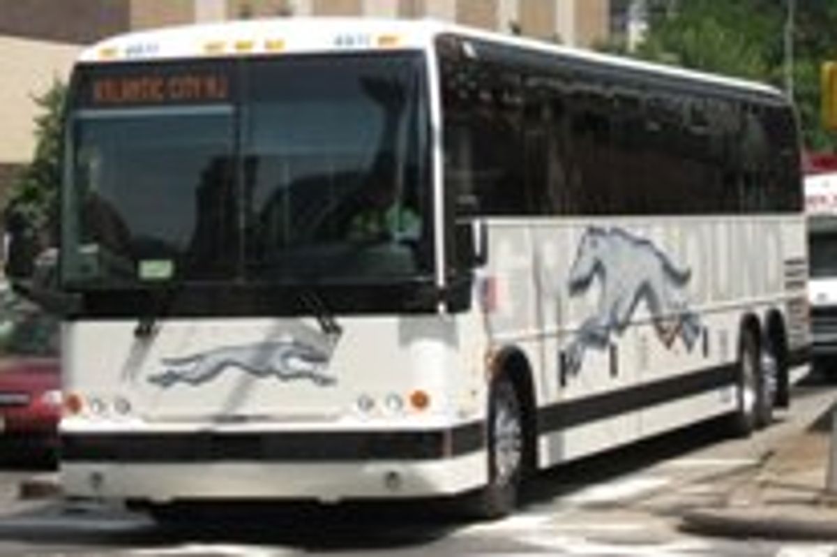 Frequent Fluffy Bus Commuter