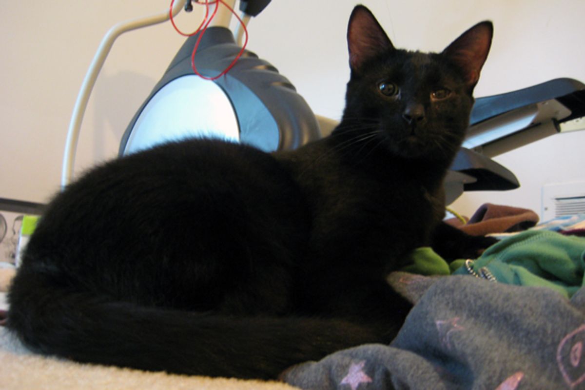 Flip's New Friends :-)