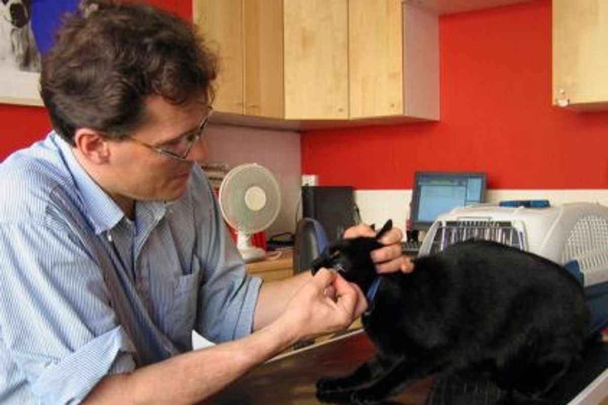 Banfield Veterinary Basic Treatment Fees