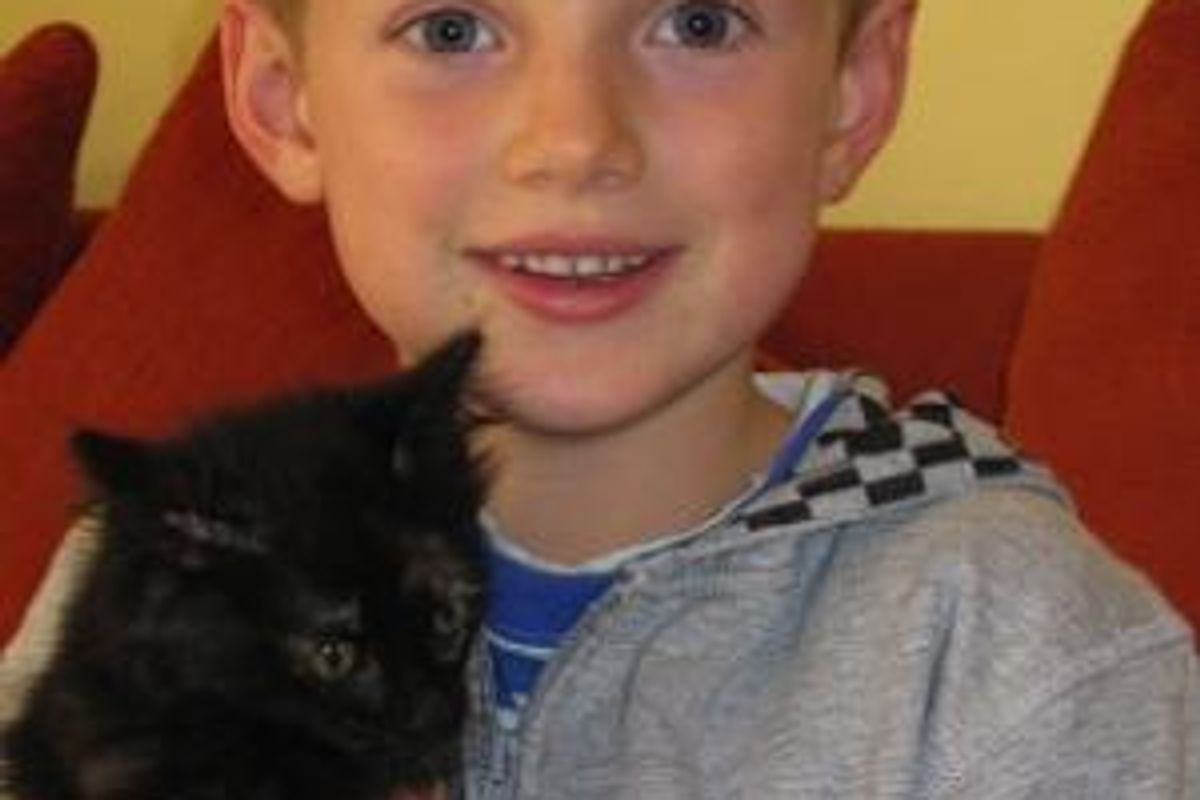 "Kitten is One in 100,000"