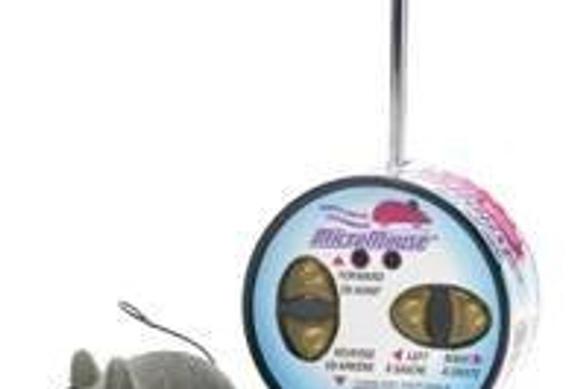 Cat Plays with Remote Control Micro Mouse