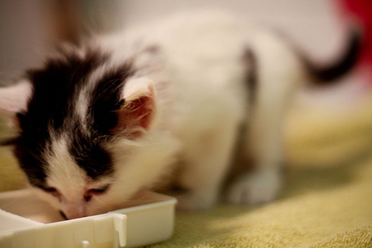 The Myth about By-Products