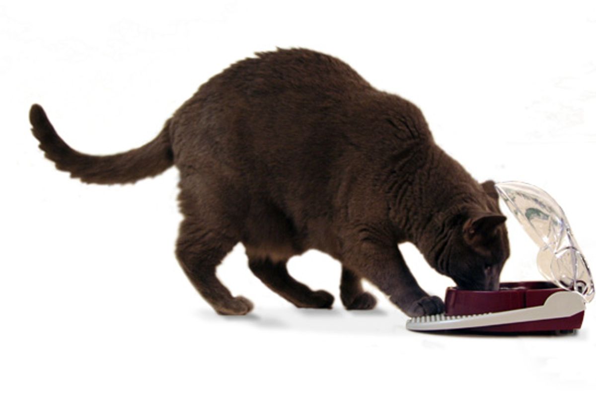 Cat Flip Bowl