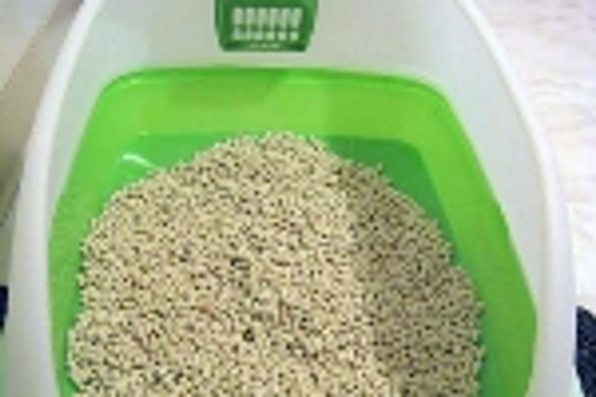 Review - Breeze Litter System