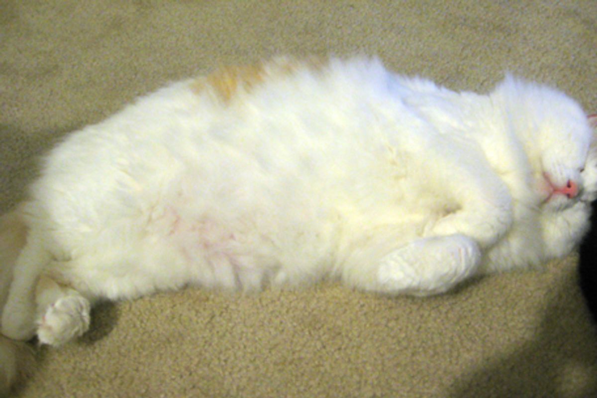 Voting Starts Tomorrow!