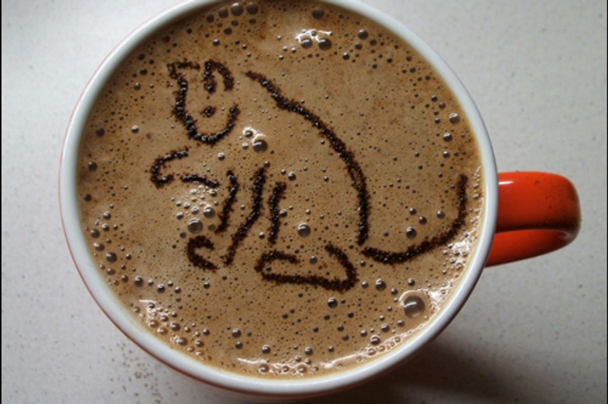 Cat Decorated Latte and Cappuccino