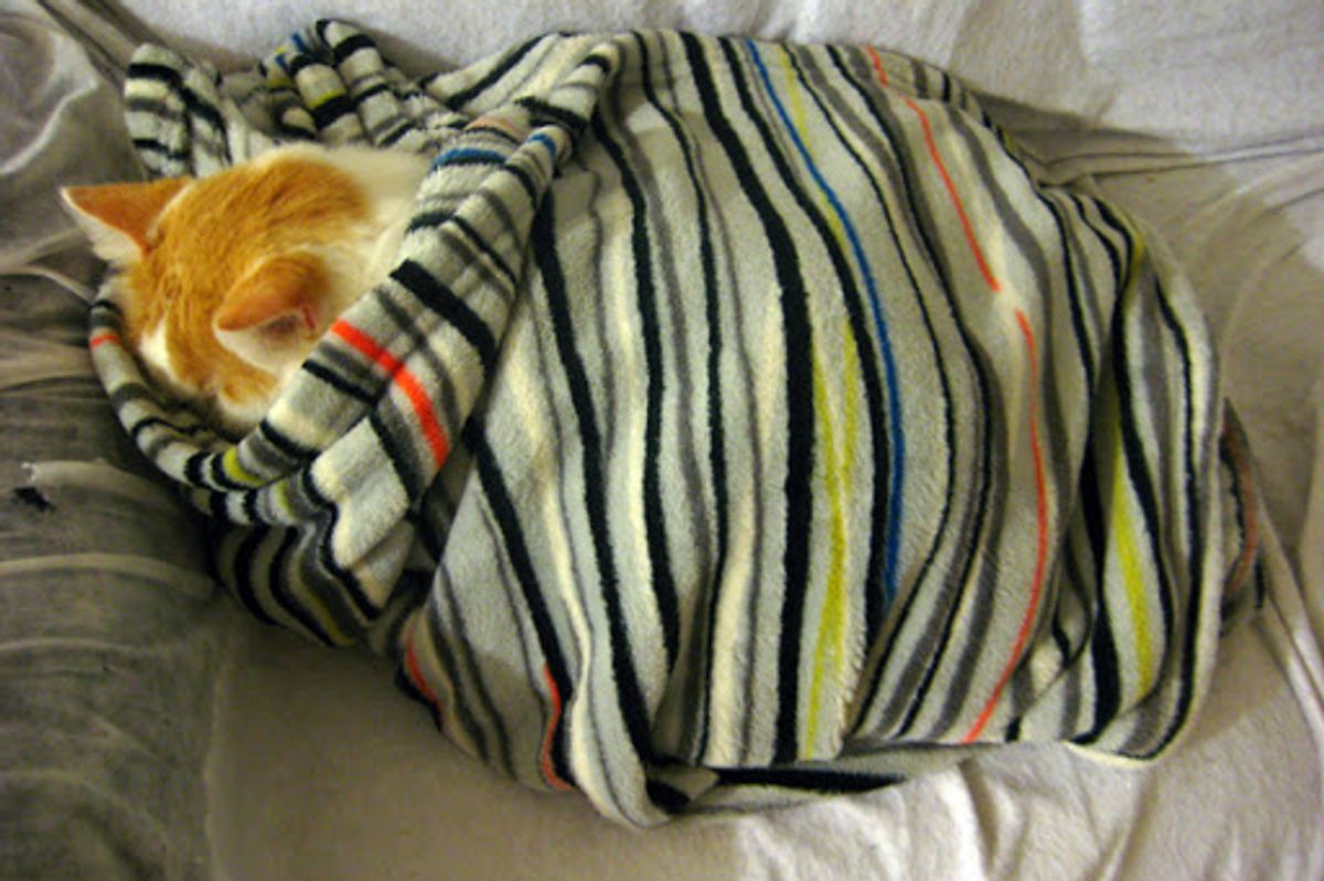 Cozy Sleeping Tactics