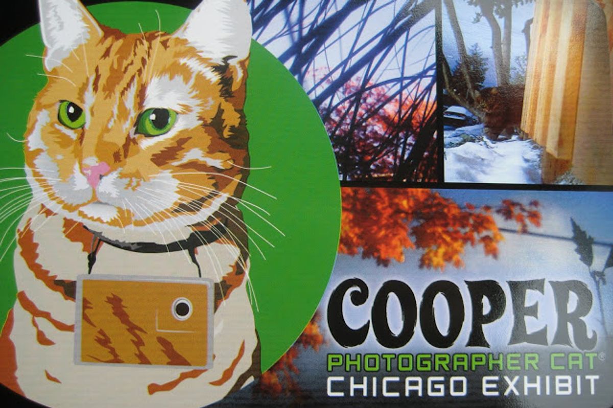 Cooper Magnet Giveaway Contest