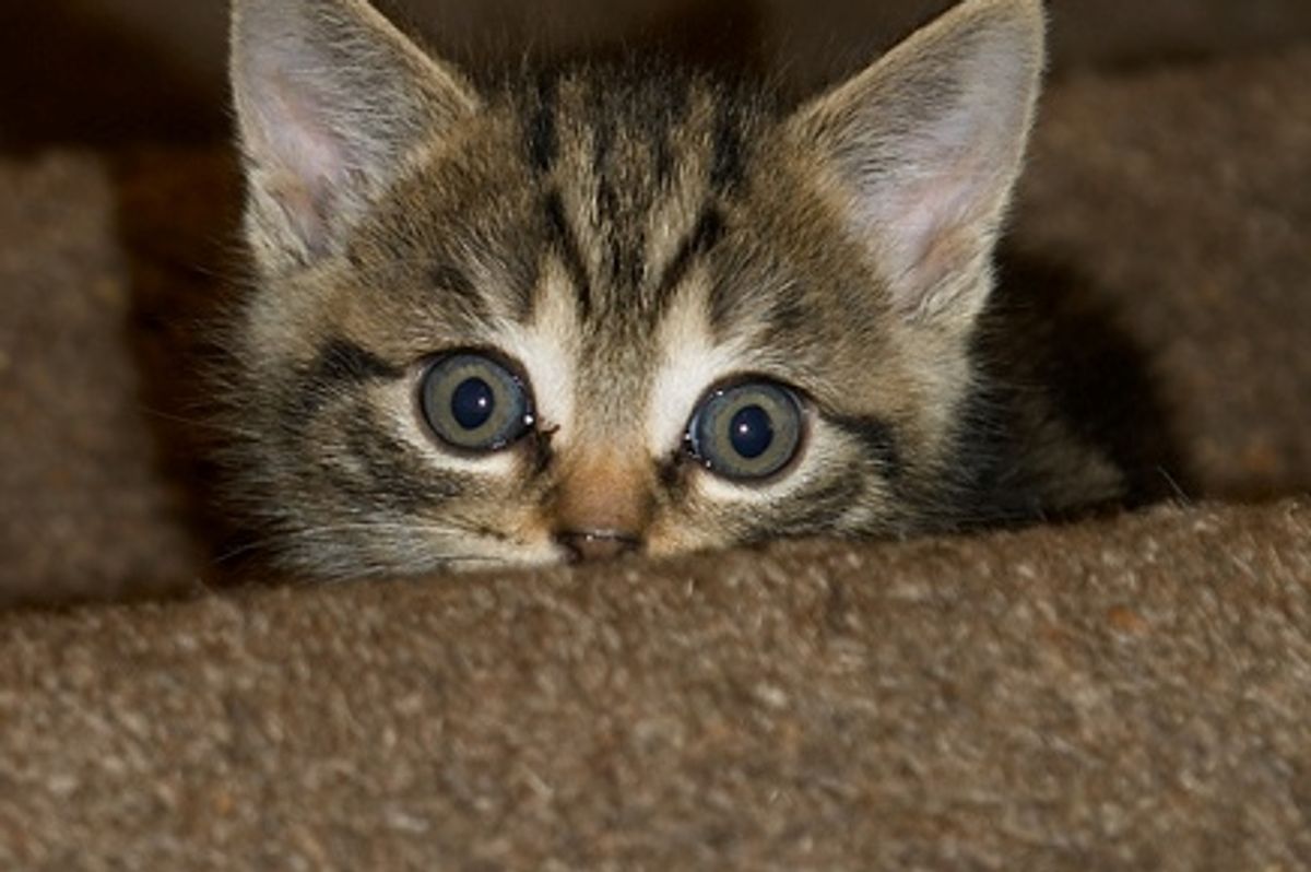 Video: One Way to Come Down the Stairs