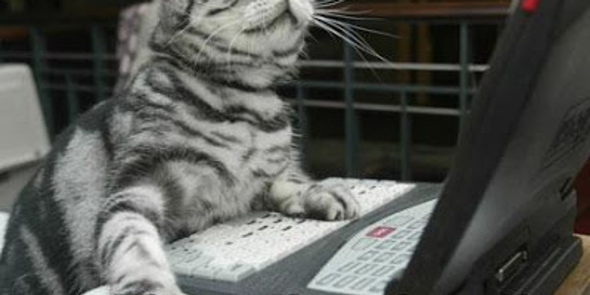 Three Cats Computer Cats n' Computers - Love Meow