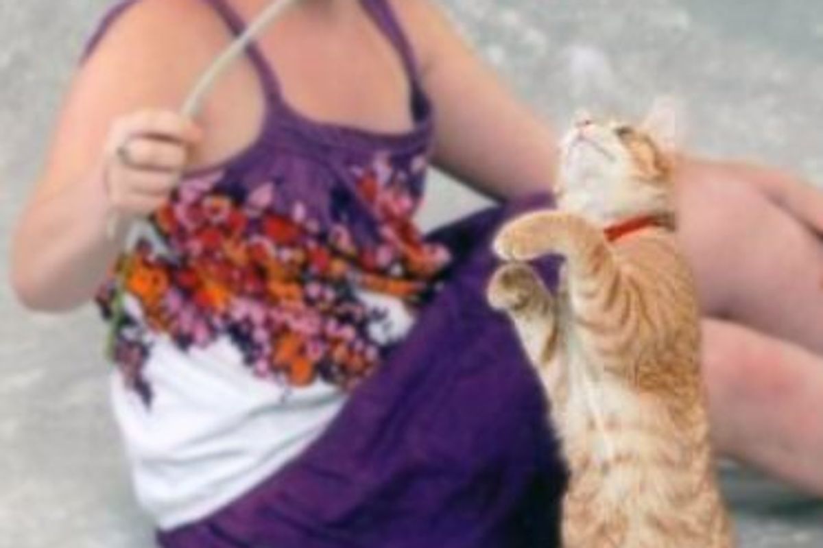 Cat Pictures You’ll Want to Save