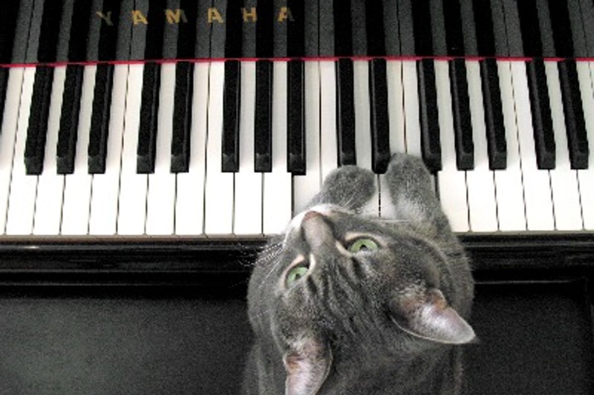Special Interview - Nora, the Cat Pianist