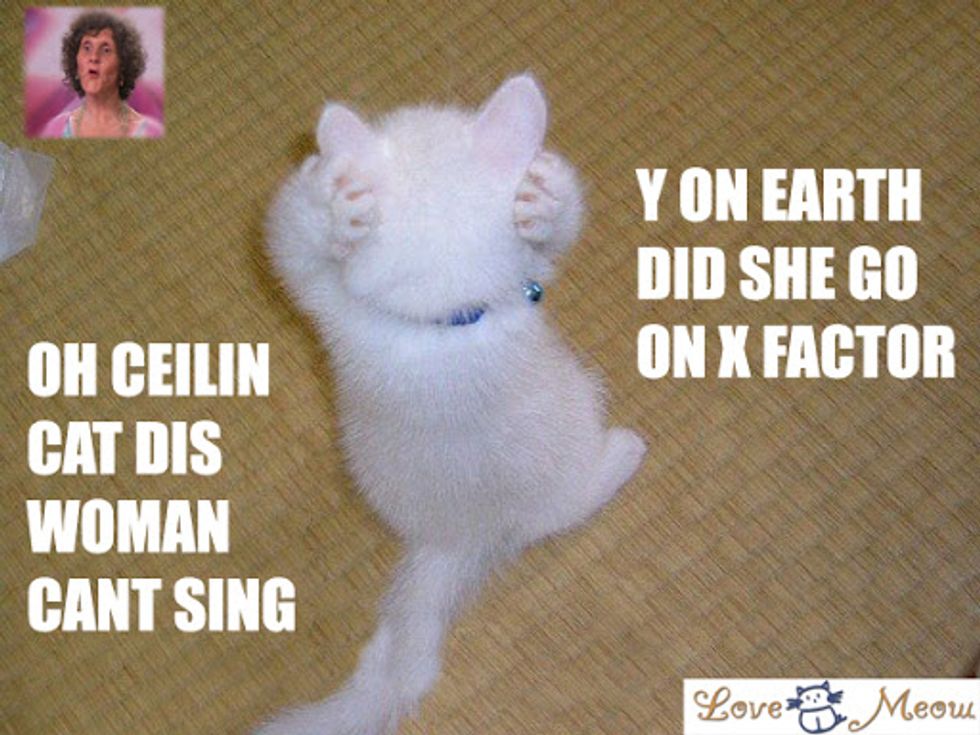 Add Lolcat Captions