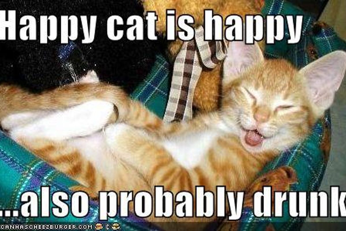 Happy Kittens - Lolcat Fun