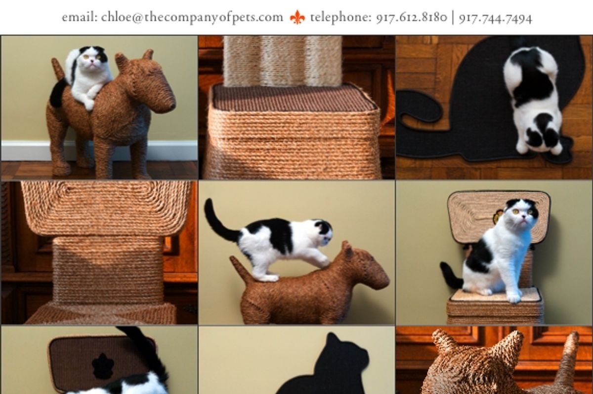 Would You Buy One Luxurious Scratching Posts