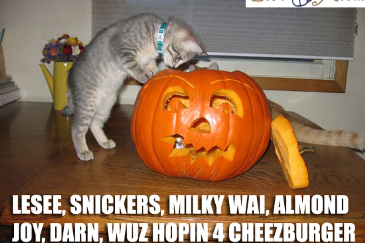 Create New Lolcat Captions