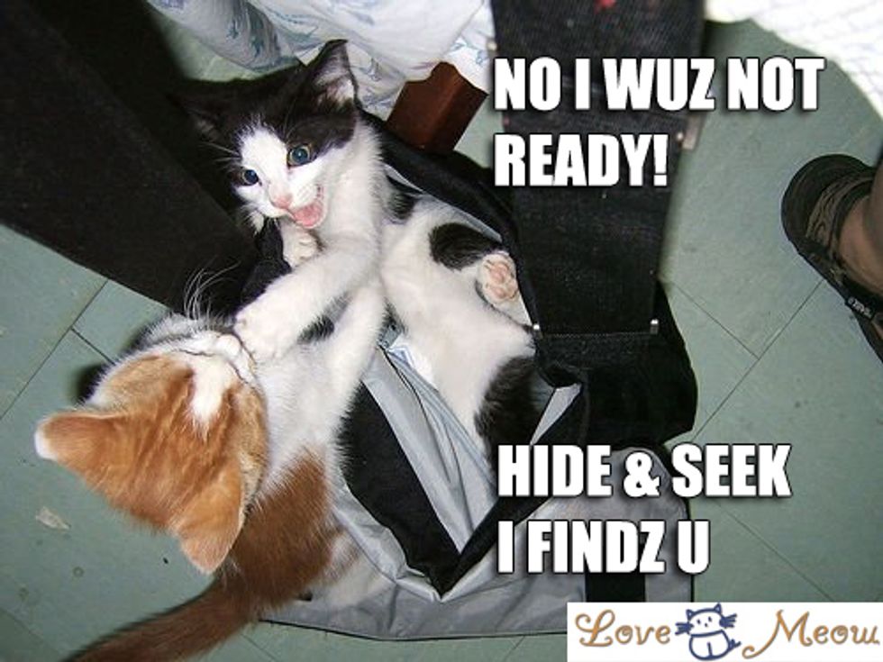 Add Lolcat Captions