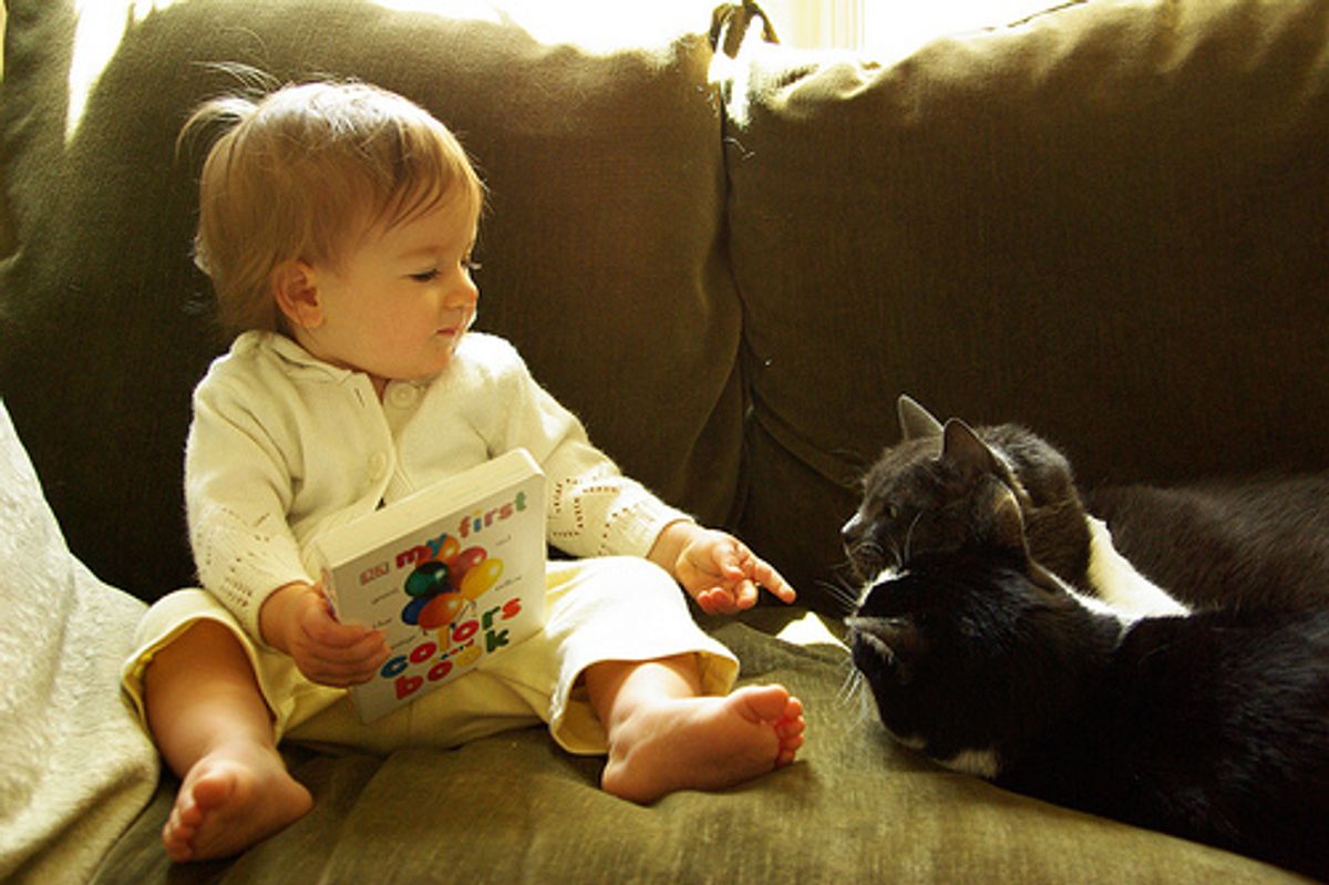 Cats Love Babies Videos