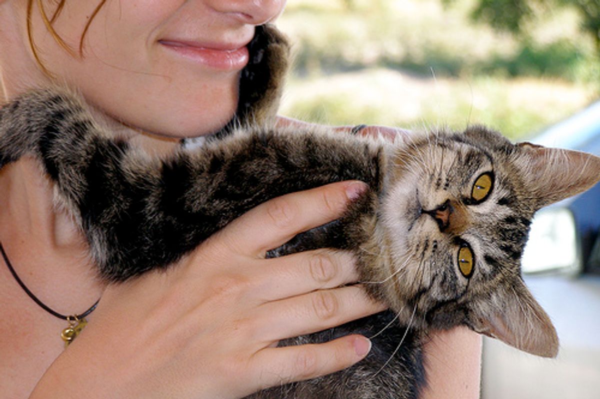 Would You Hire a Pet Sitter