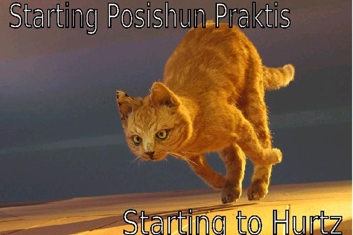 Lolcat Kitten Olympics