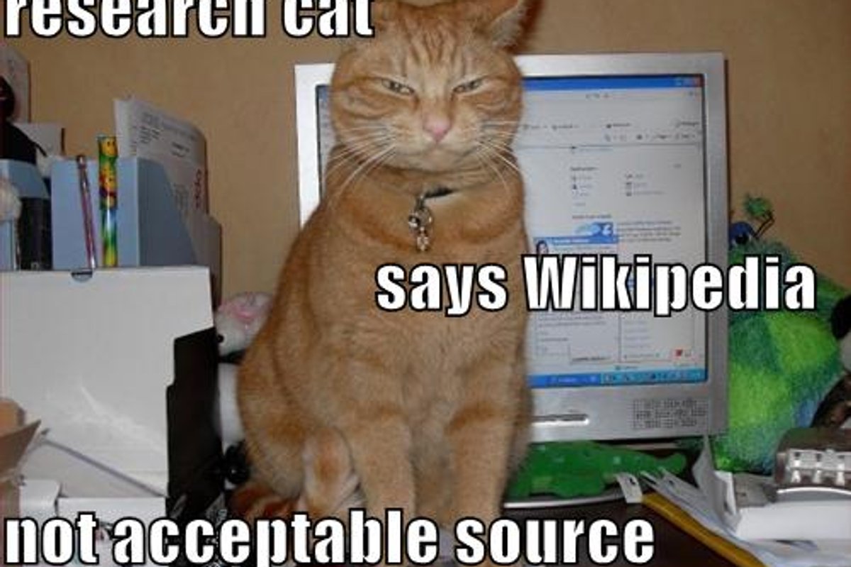 Smart Cats Cheezburger Time