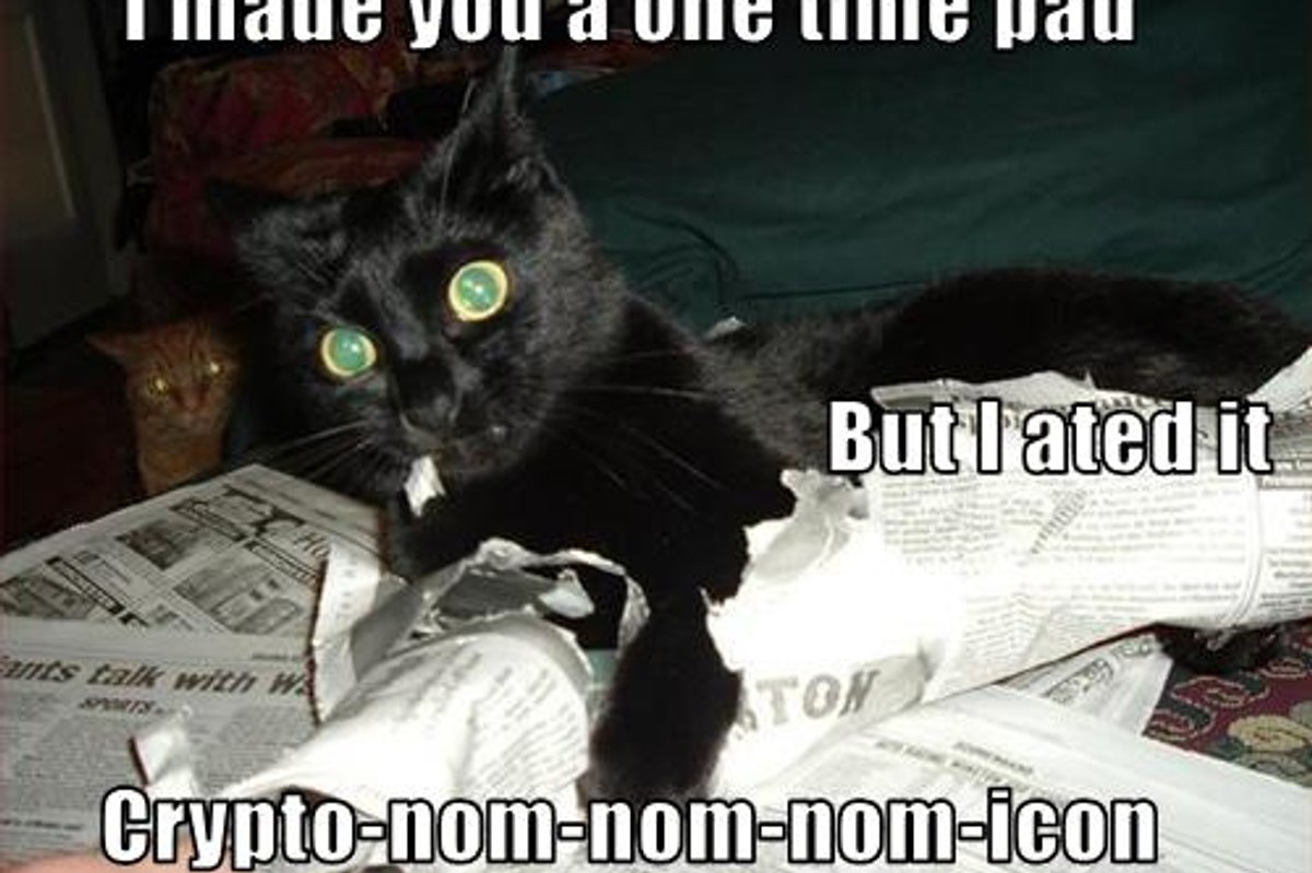 Cheezburger Time Kitten Says Nom Nom