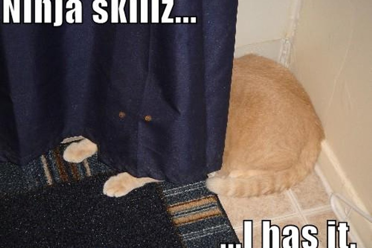 Caturday Cheezburger Ninja Kittens
