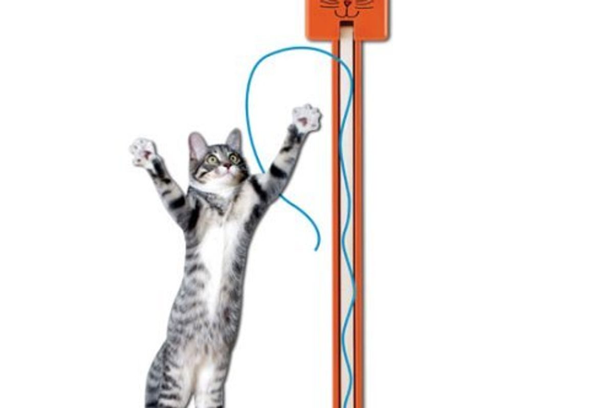 Fun Toy Fling ama String