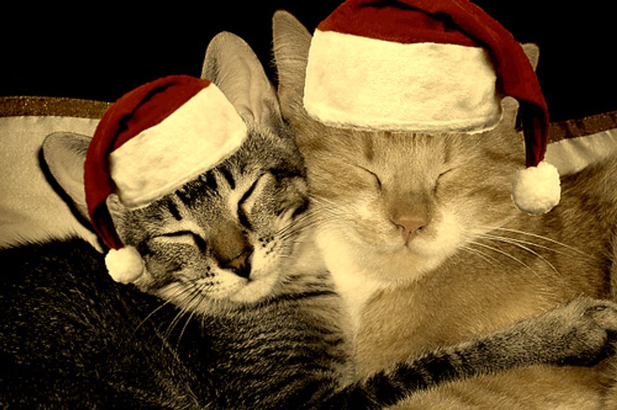 Merry Christmas Kittens and Cats