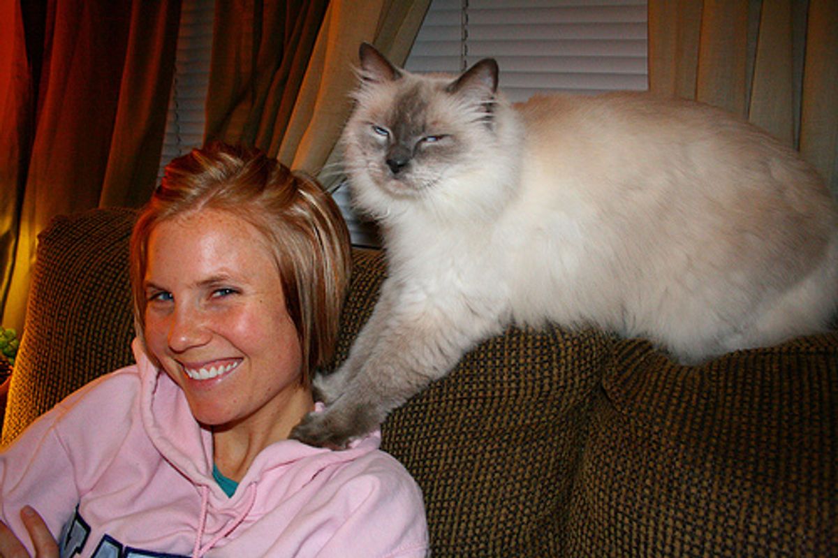 Cheezburger Time Cat Chiropractor Massage Theropy