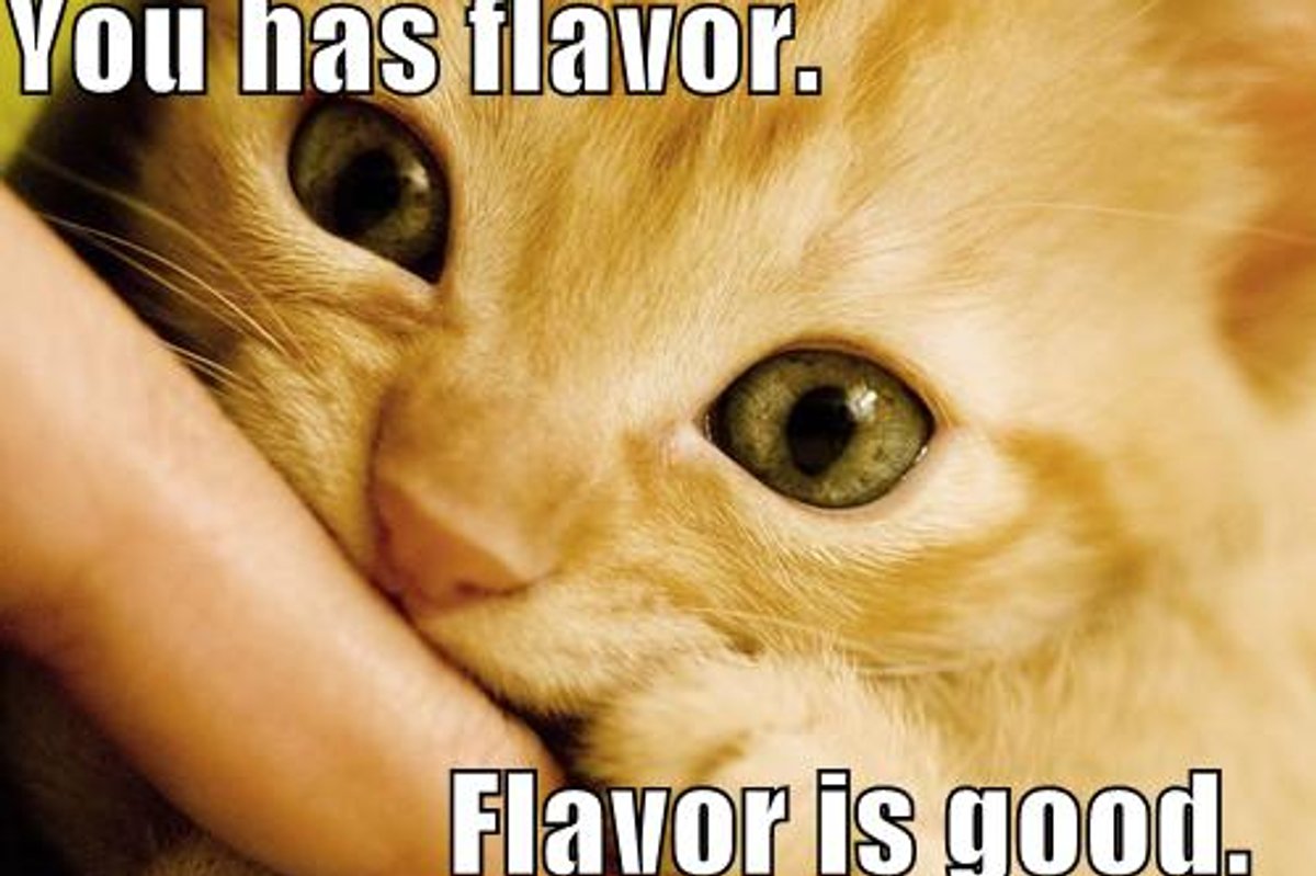 Lol Cat Time I Has a Flavor