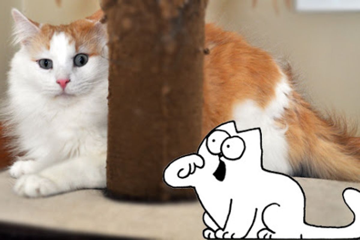 Simons Cat Snow Business Part 1 and 2