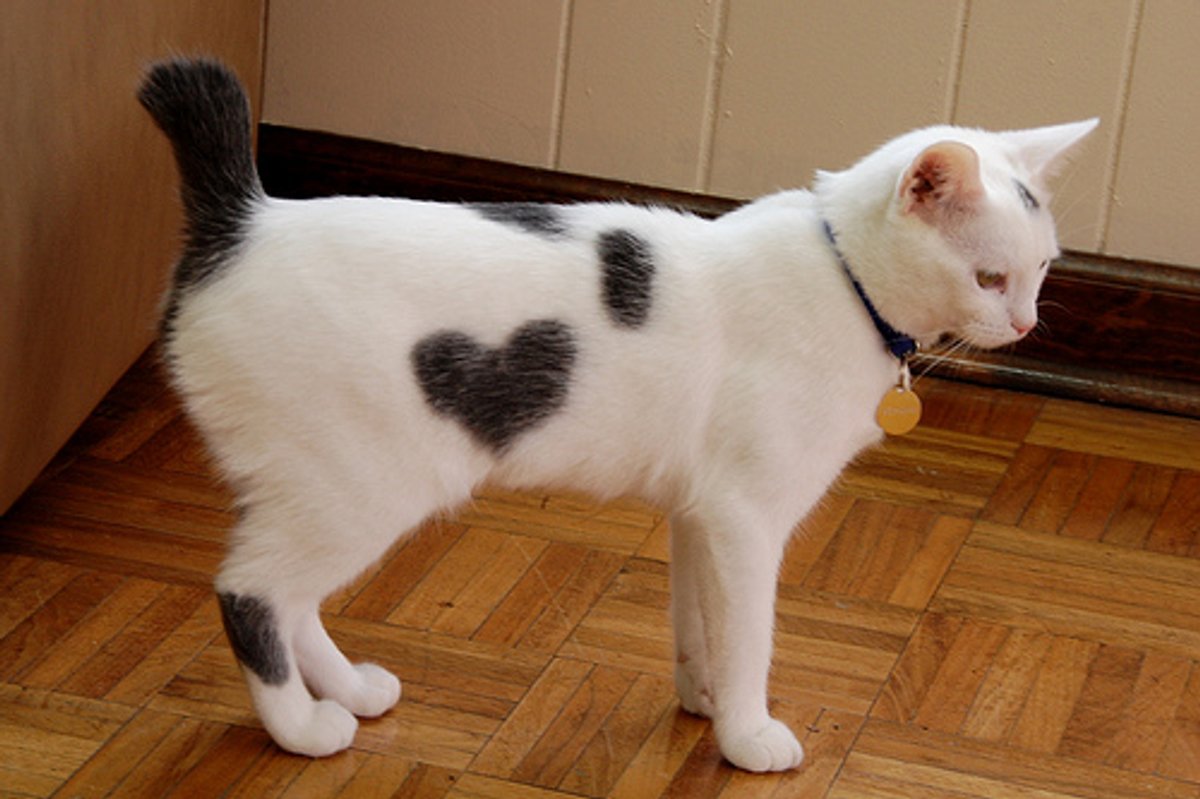 Happy Valentine's Day!