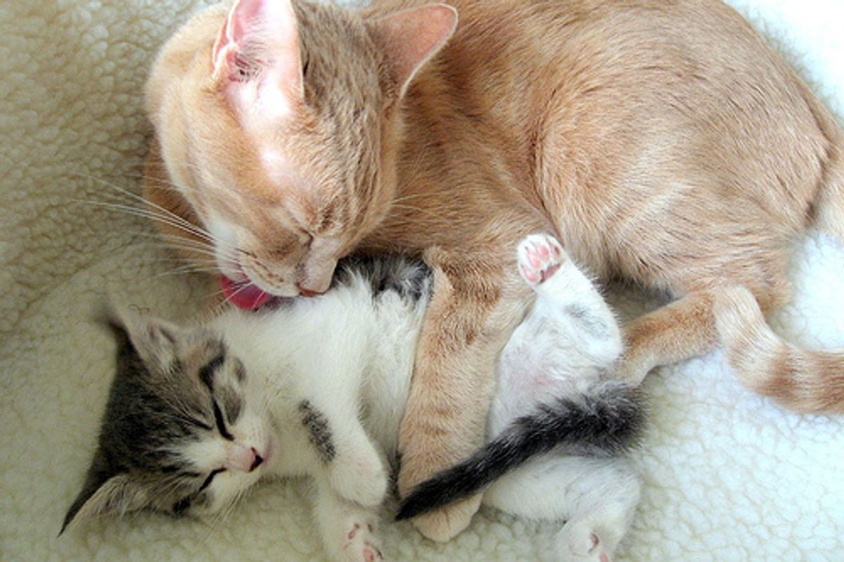 Milo and Zumi Two Best Friends