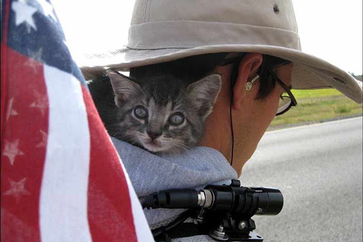 Backpacking Cat Amazing Story