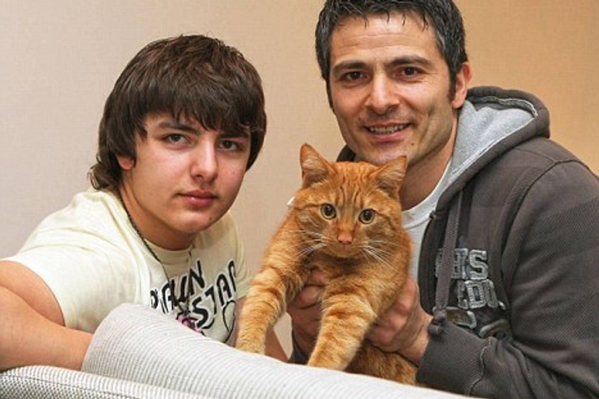 Cat 'Comes Back to Life' Nine Months After Owner Buries Him