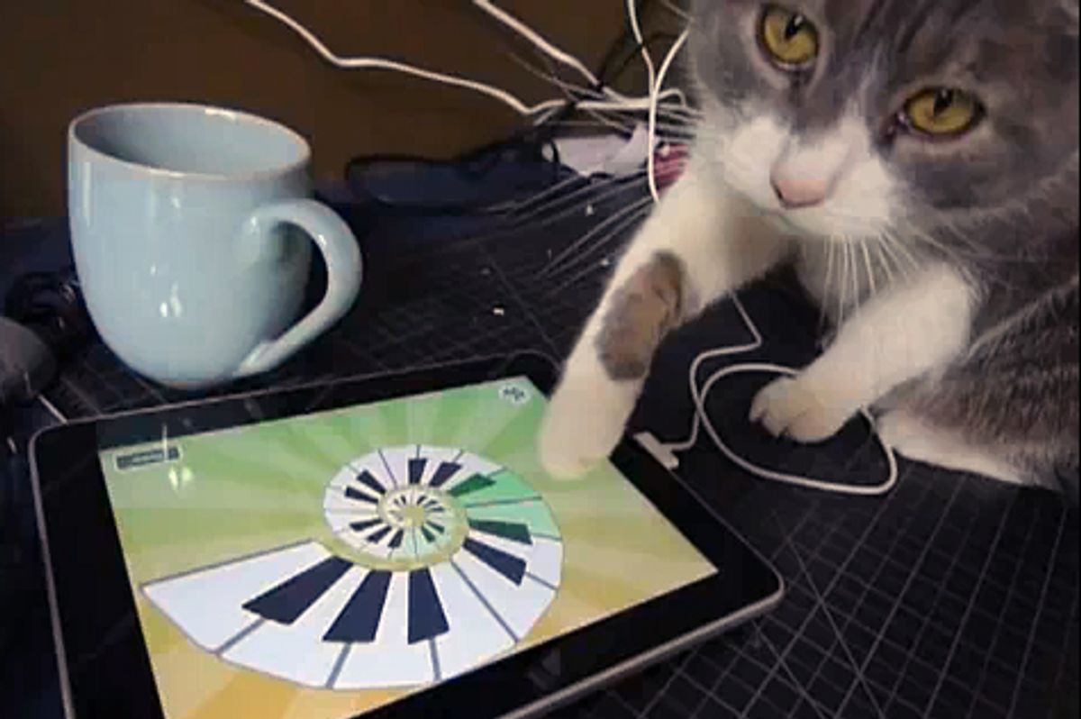 Cat Can Use the iPad