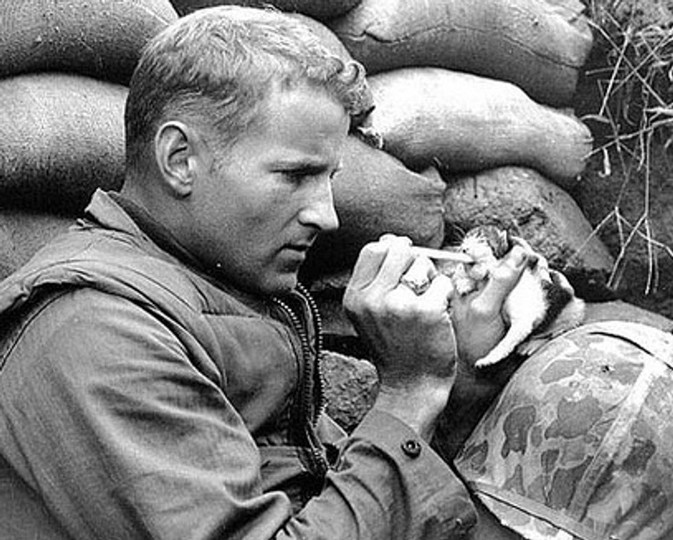 Special Relationship Between Cats and Marine Soldiers
