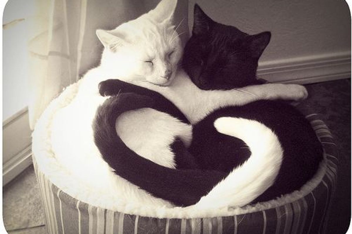 Love in Black and White