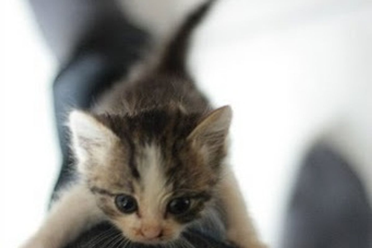 Little Rufus and Martha