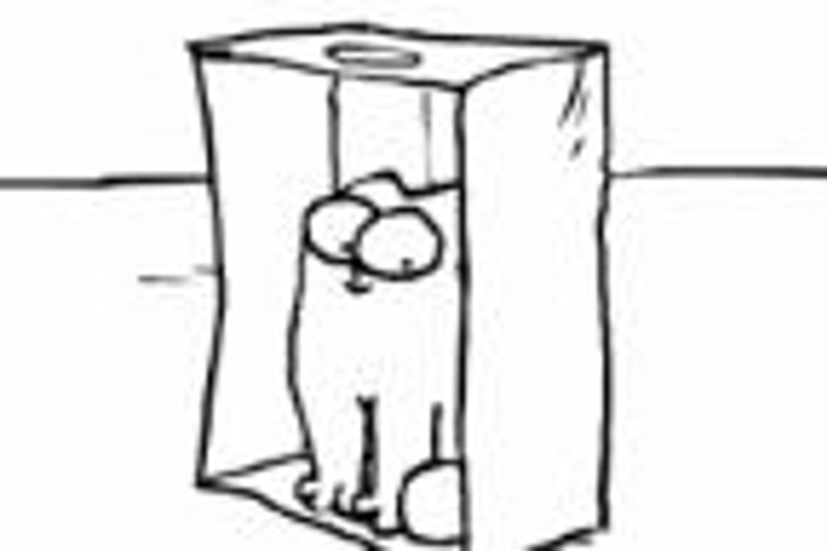 Simon's Cat in 'The Box'