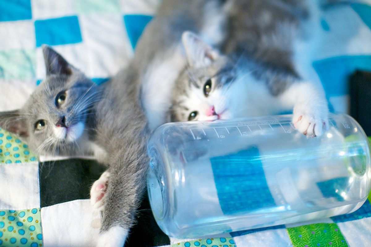 Two Little Rascals: Birdie and Mulligan