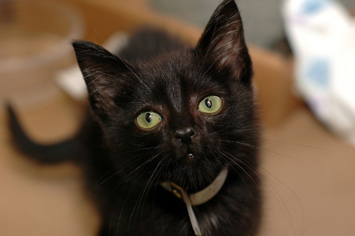 Two Rescued Wee Babies