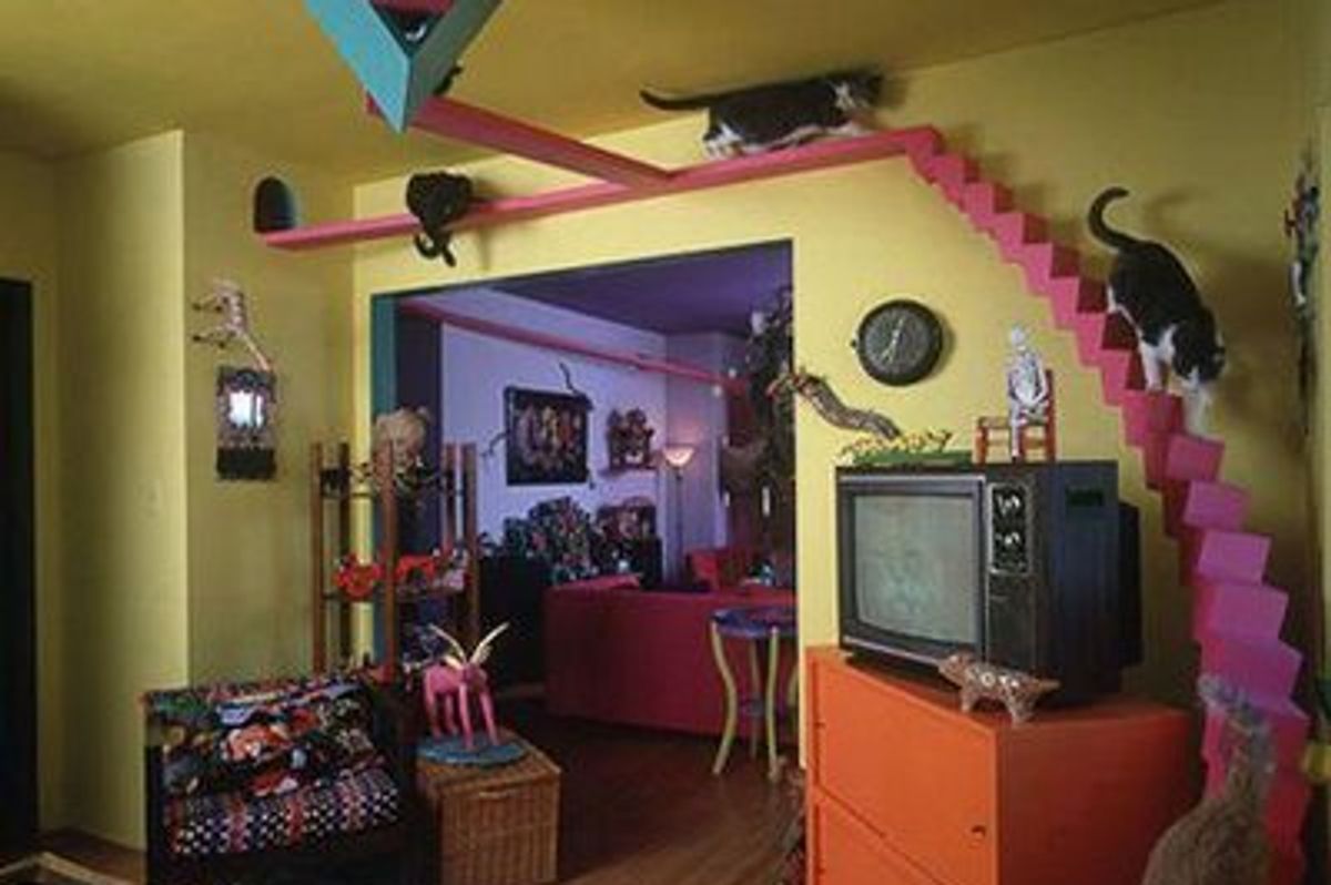 Coolest House for Cats