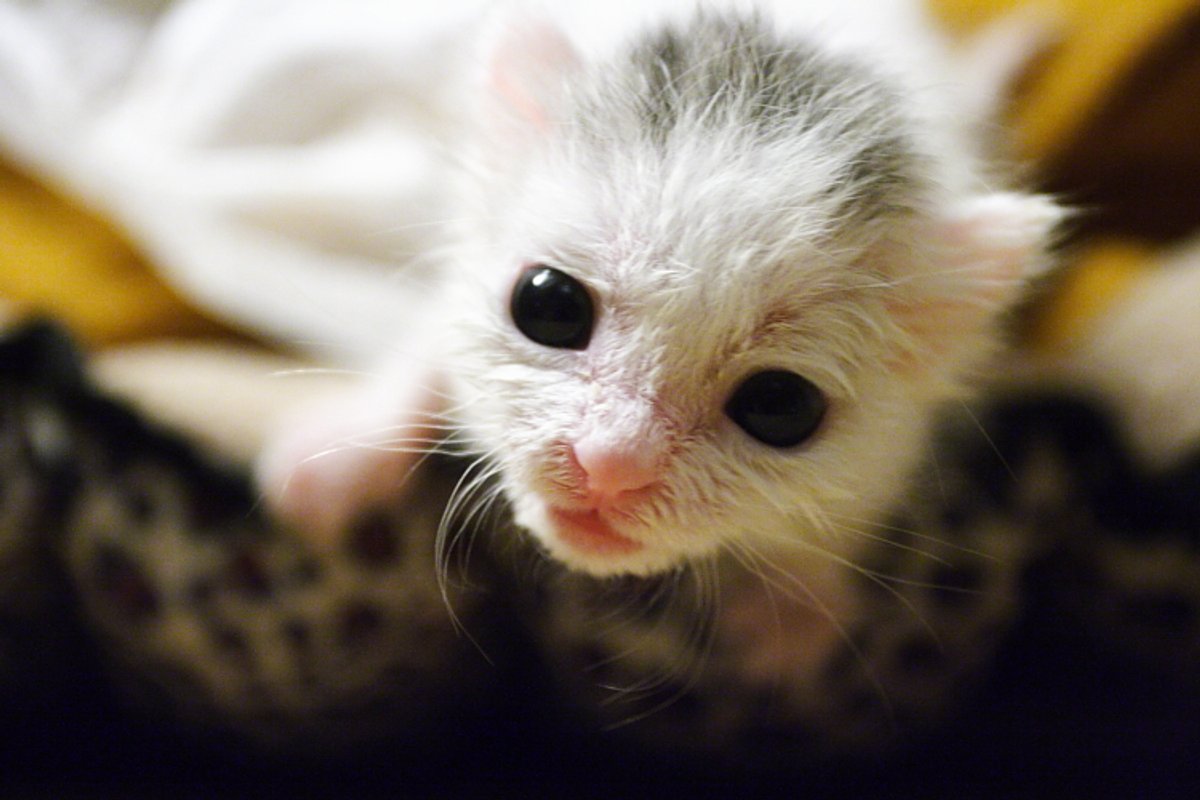 From Wee Baby to Handsome Boy