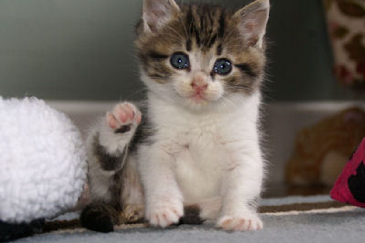 Updates on Starsky and Hutch