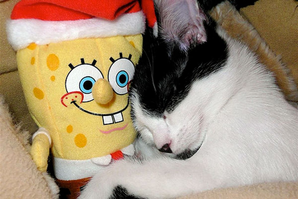 Kiko the Little Cow Cat