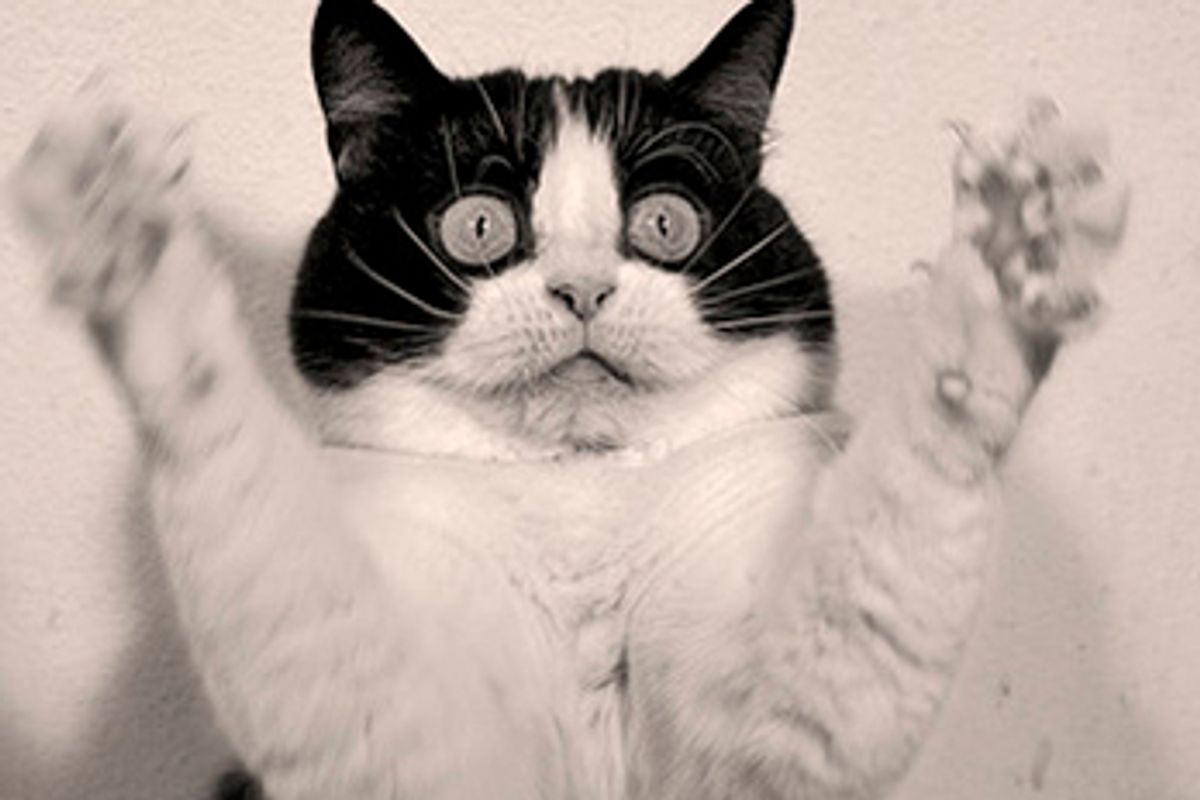 Goofy Round Tux Muky Muky