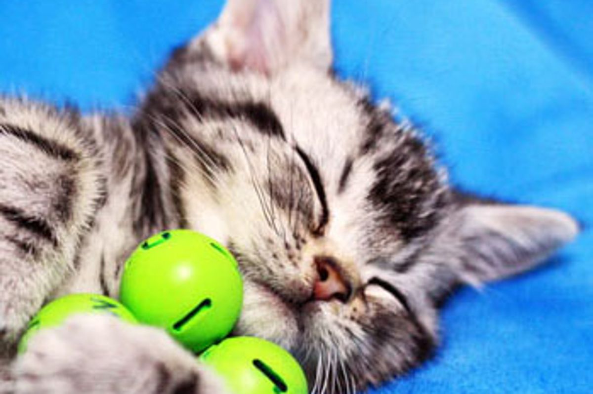 Little Furry Star Bohu