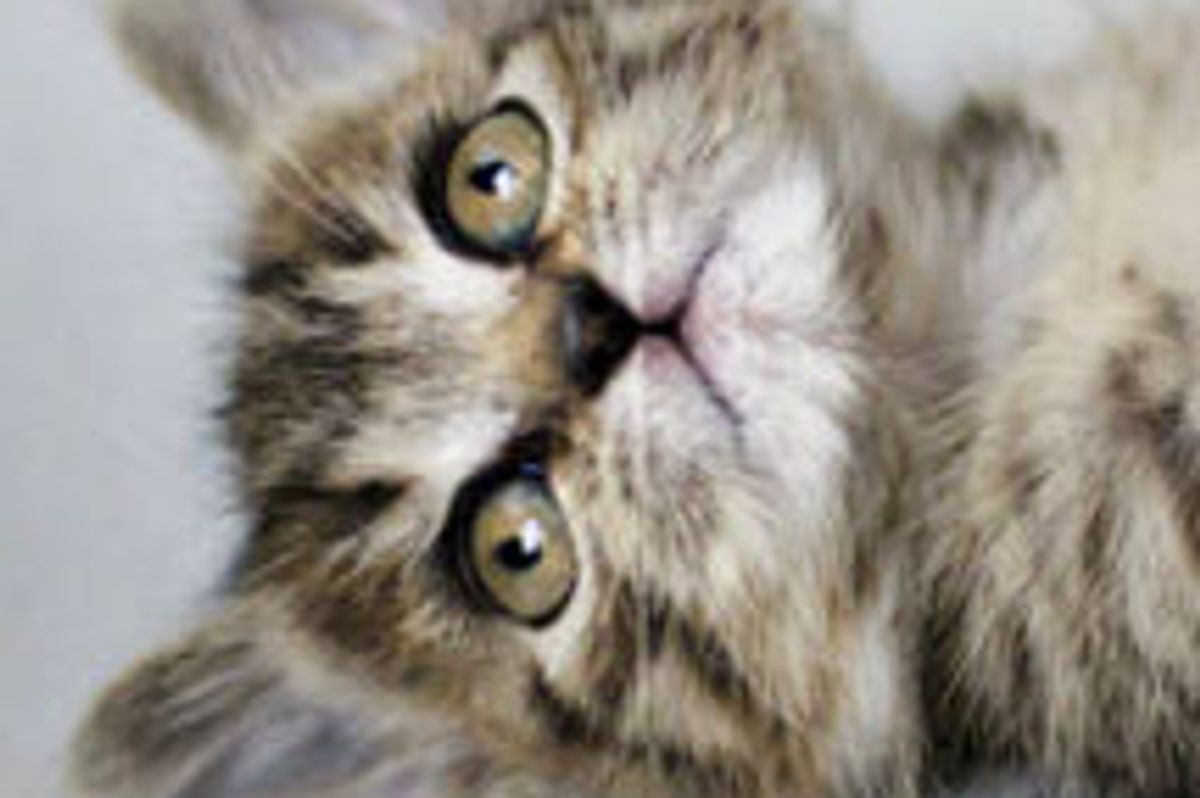 Martha and Her Brother 8 Months After Adopted